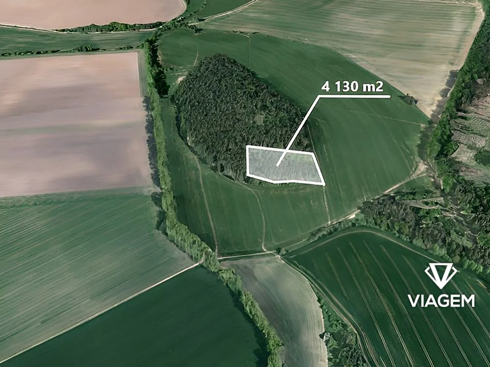 Prodej podílu 1/4 lesa 1150 m²